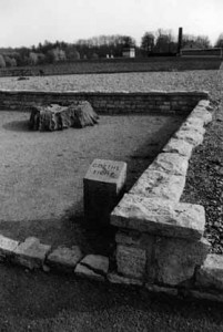 Un gros chêne, signalé comme tel (dicke Eiche) sur les cartes, avait été laissé par les SS sur l’aire du camp. En 1944, il est endommagé par une bombe, puis abattu. Seule la souche est préservée. Les détenus l’avaient baptisé le « chêne de Goethe ». Mais l’arbre n’avait en fait aucun rapport avec celui auprès duquel se promenait l’écrivain qui se trouvait d’ailleurs être un banal hêtre planté dans un tout autre endroit. Voir sur ce point-là l’explication aussi éclairante que subtile de Jean-Pierre Lefebvre dans Goethe modes d’emploi (Belin, 2000).